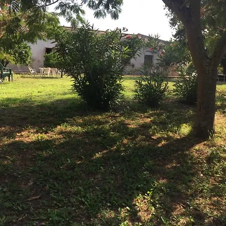 Vigne Maio * Ventiseri