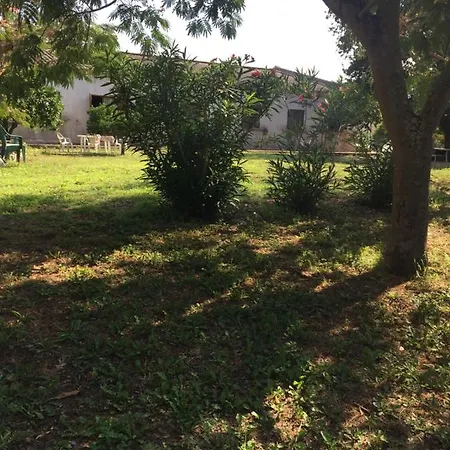 Vigne Maio * Ventiseri